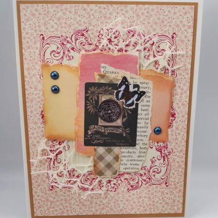 Butterfly on pink cluster