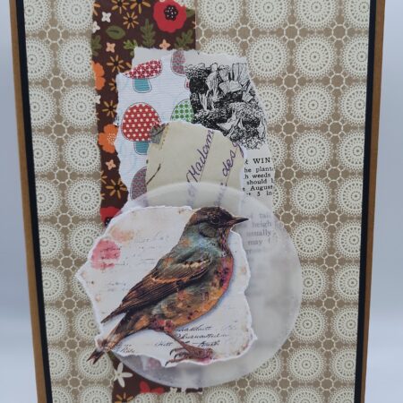 Neutral Bird Cluster