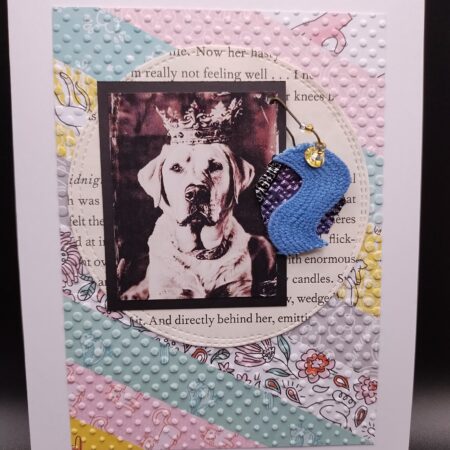 Tattered Dog Photo 3