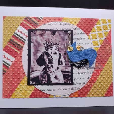 Tattered Dog Photo 2